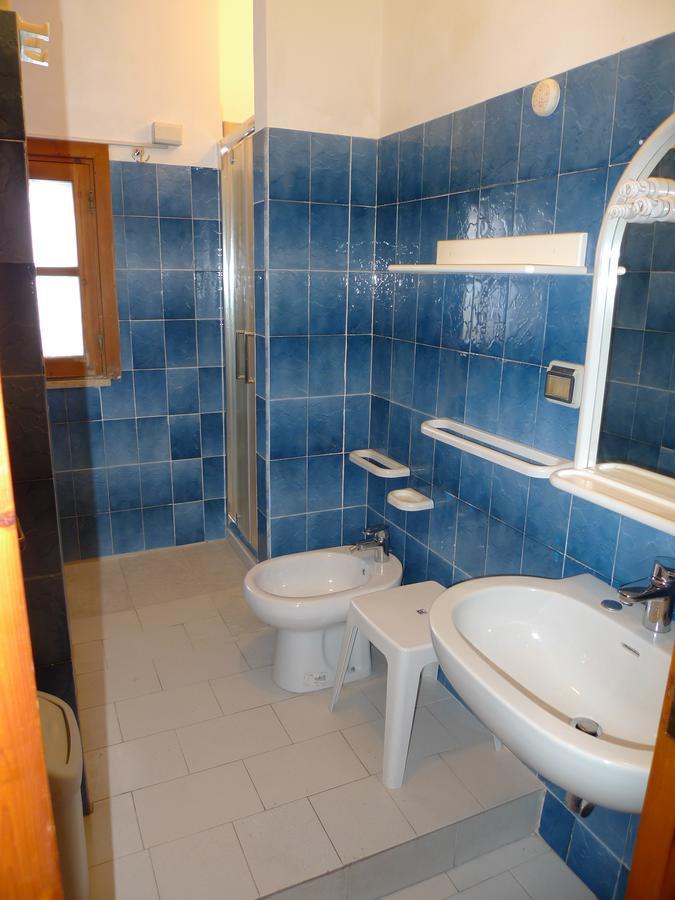 Alexander 3*