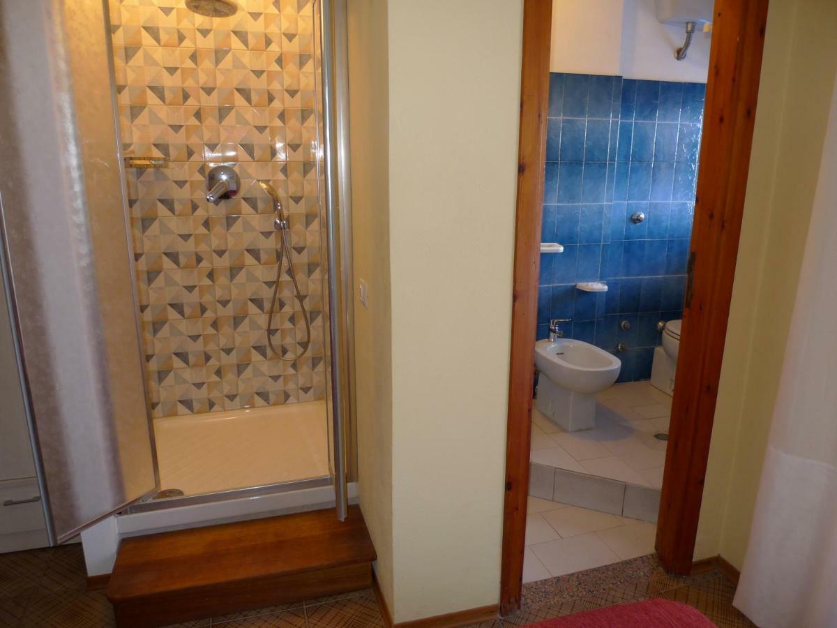 Alexander Hotel 3*